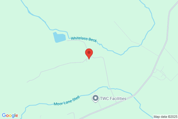 TWC Drain Care