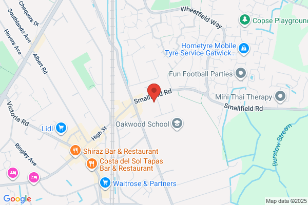 Western Cars Horley