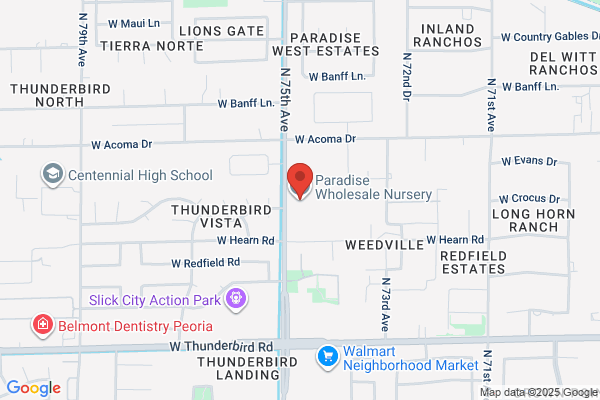 Paradise Plant Nursery