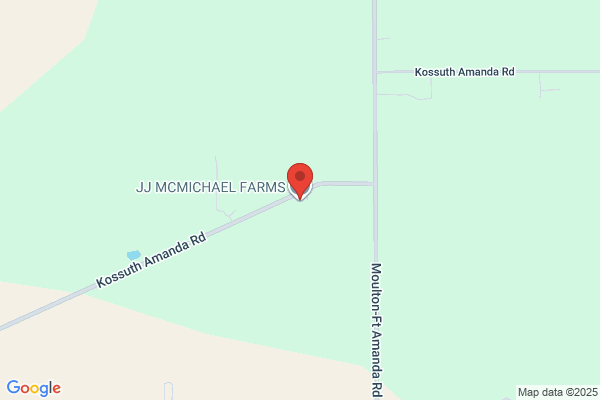 J & J McMichael