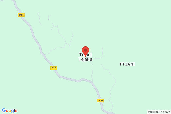 Tejani