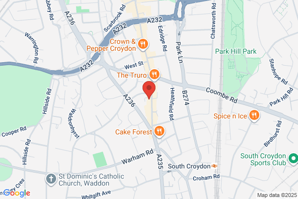 Wasp Nest Removal Croydon
