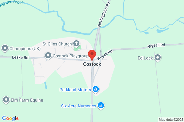 Costicks