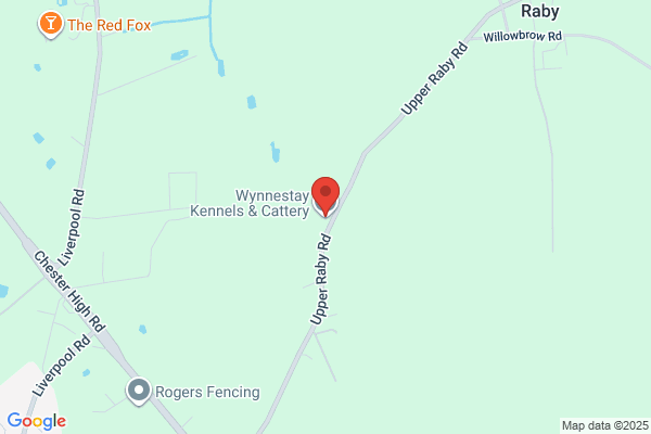 Wynnestay Kennels