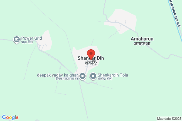 D Shankar