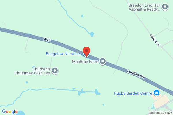 The Bungalow Nurseries