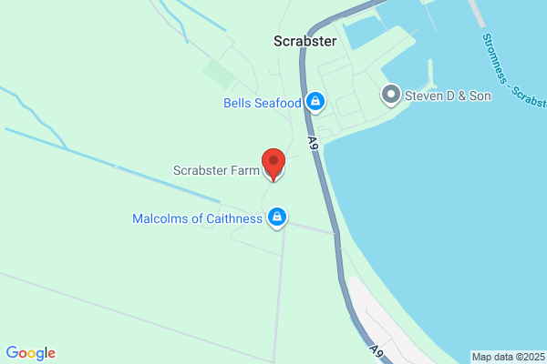 Scrabster Farm