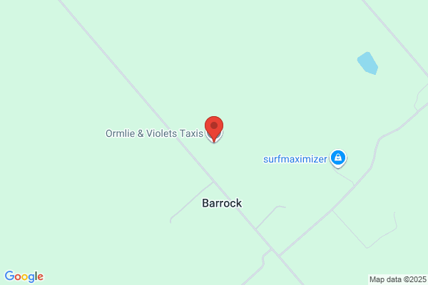 Ormlie Taxis