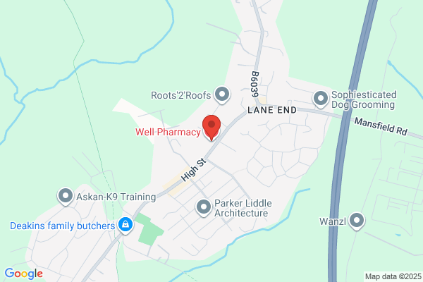 Well Pharmacy