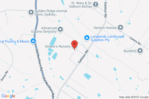 Swaynes
