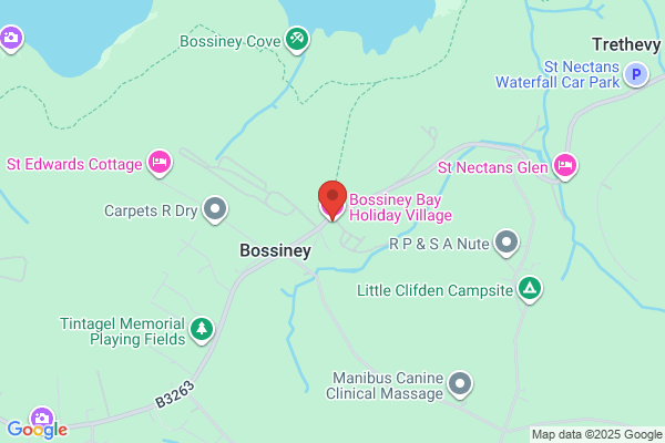 Bossiney Farm