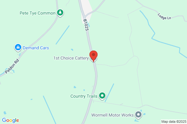 High Tor Cattery