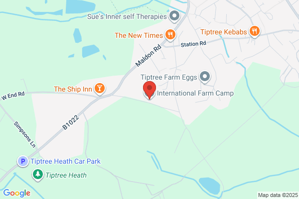 International Farm Camp