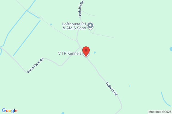 V I P Kennels & Cattery