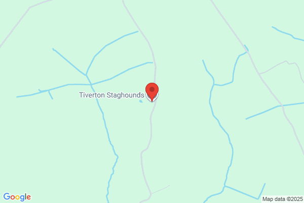 Tiverton Foxhounds
