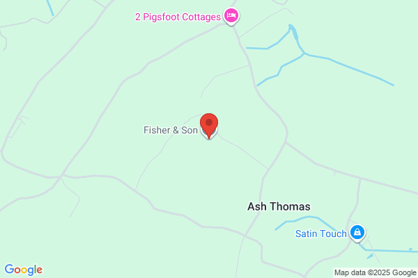 Fisher & Son