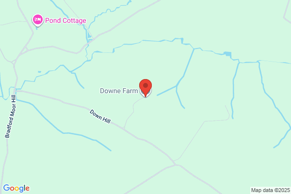 Downe Farm
