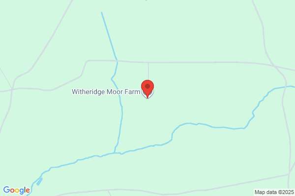 Witheridge Moor Equestrian
