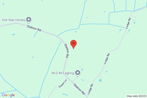 BMN Management Ltd