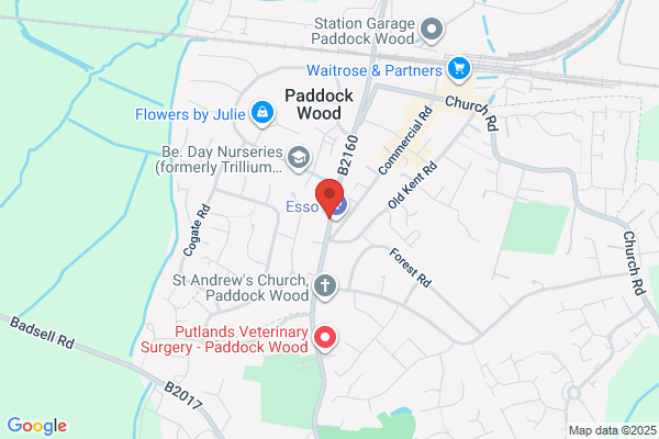 Read's Of Paddock Wood