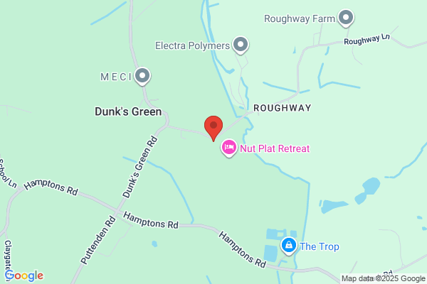 Tree Services