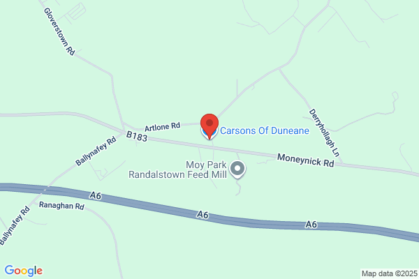 Carsons Of Duneane Ltd