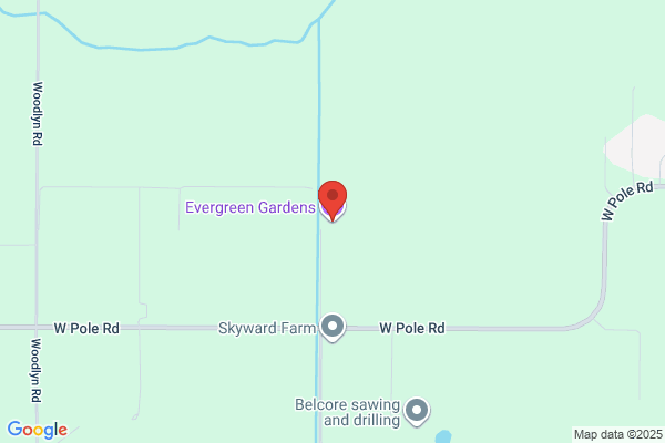 Evergreen Gardens