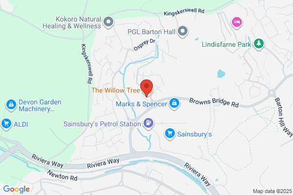 The Willow Tree