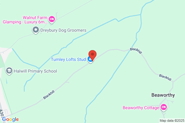 W H Tolley & Son Ltd