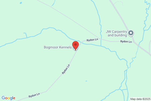 Clunkamoor Kennels