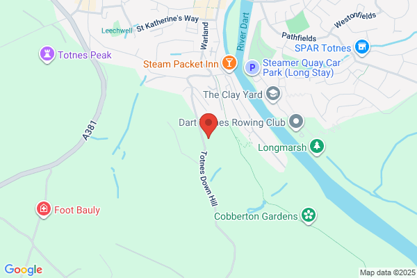 Dartview Cattery