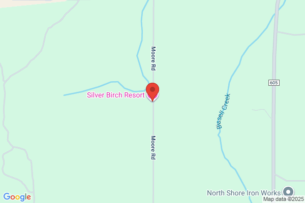 Silver Birch Lodge