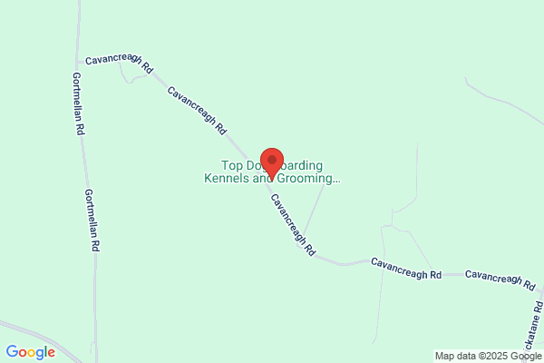 Top Dog Boarding Kennels & Rescue Centre