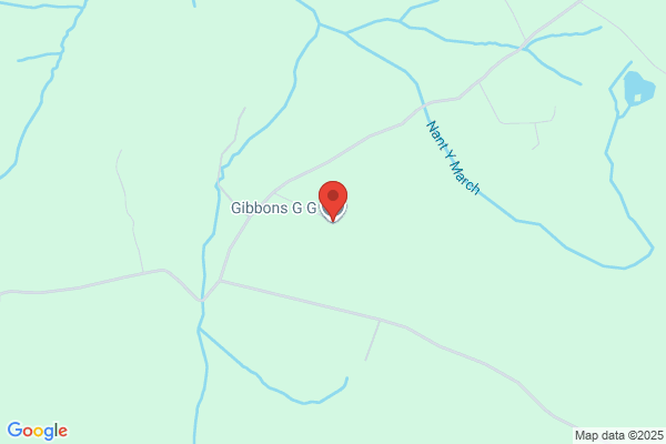 G G Gibbons