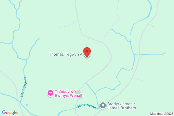 Tegwyn A Thomas