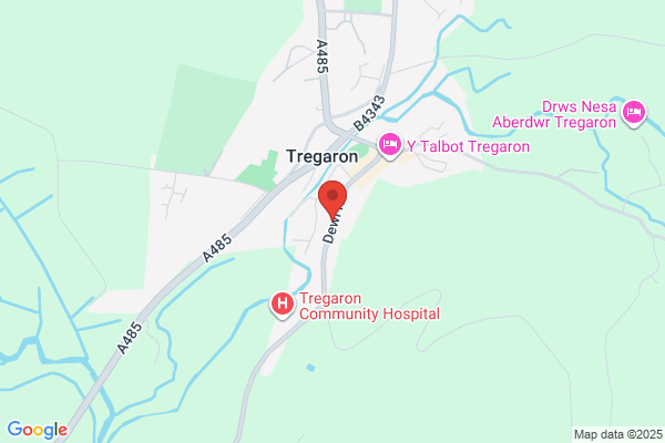Tregaron Kite Centre & Museum