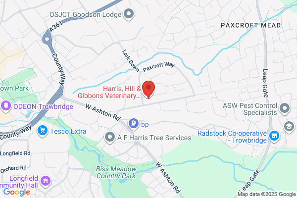 MiNightVet Trowbridge