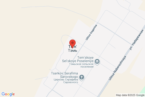 TEM