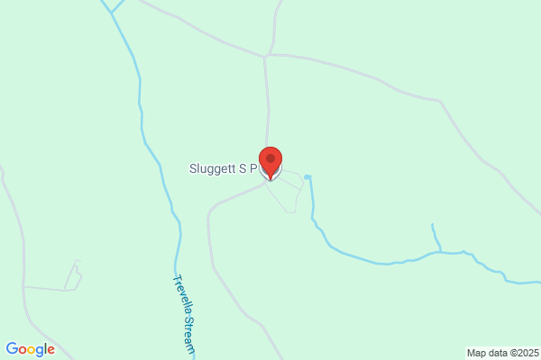 R P Sluggett