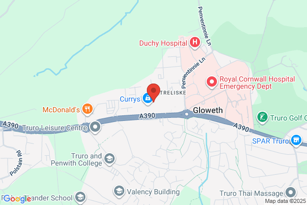 Vets4Pets - Truro