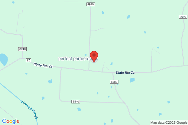 Perfect Partners