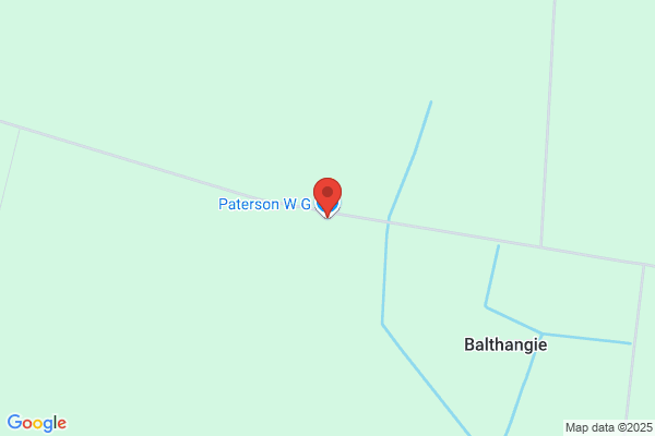 W G Paterson