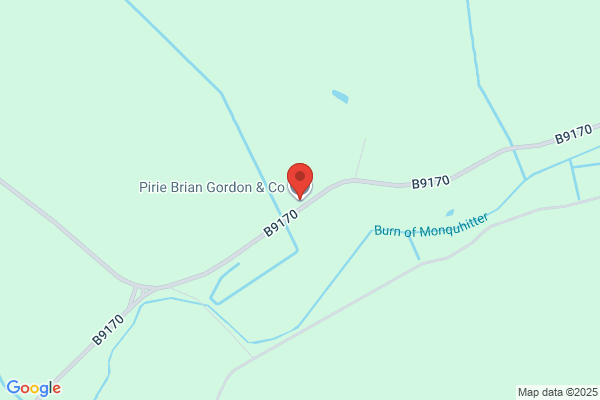 Brian Gordon Pirie & Co