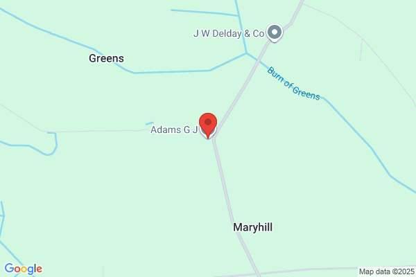 G J Adams
