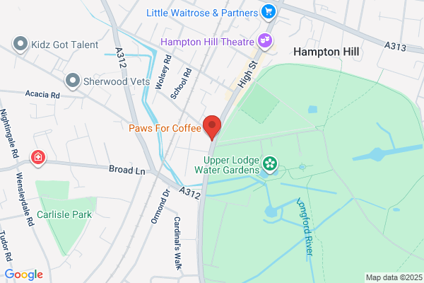 Local Plumbing & Heating Pro Ltd