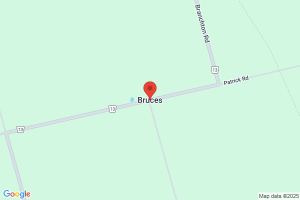 Bruce's