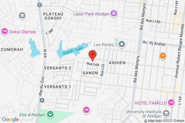 Abidjan Market