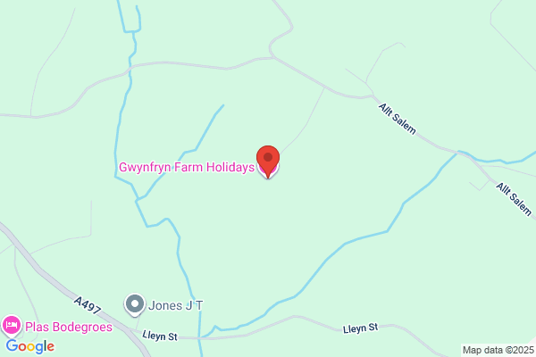 Gwynfryn Services
