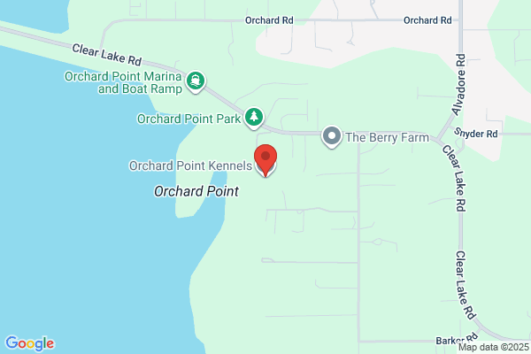 Orchard View Home Day Care & Hotel for Dogs