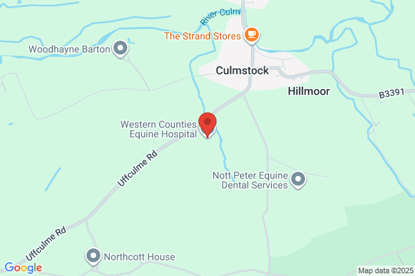 Western Counties Equine Hospital
